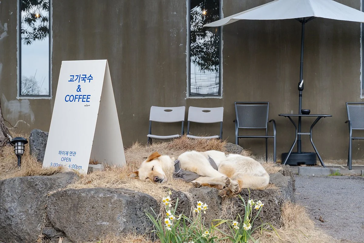 %EC%8B%A0%ED%92%8D%EB%A6%AC_%ED%95%98%EC%9D%B4%EC%9E%AC_%282%29.jpg?type=w1200