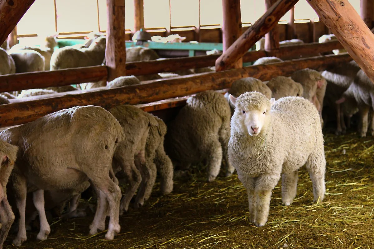 %EC%98%A4%EB%8C%80%EC%82%B0_%2839%29.jpg?type=w1200