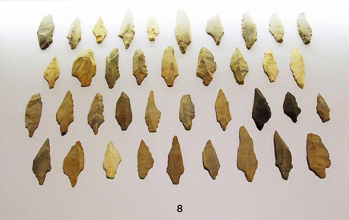 %EA%B5%AD%EB%A6%BD%EC%B2%AD%EC%A3%BC%EB%B0%95%EB%AC%BC%EA%B4%80%EC%97%90_%EC%A0%84%EC%8B%9C%EB%90%9C_%EA%B5%AC%EC%84%9D%EA%B8%B0%EC%8B%9C%EB%8C%80_%EC%8A%B4%EB%B2%A0%EC%B0%8C%EB%A5%B4%EA%B0%9C.JPG?type=w1200