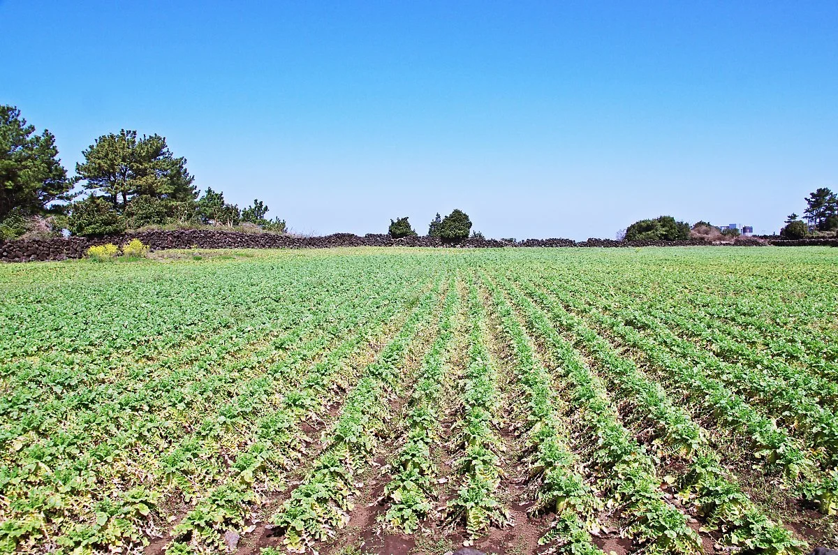 %EB%82%AF%EB%AC%BC%EB%B0%AD%EA%B8%B8.JPG?type=w1200