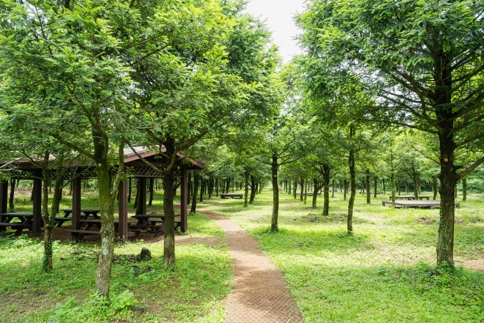 30_%ED%94%BC%ED%81%AC%EB%8B%89%ED%95%98%EA%B8%B0%EB%8F%84_%EC%A2%8B%EC%9D%80_%EA%B1%B0%EC%8A%A8%EC%84%B8%EB%AF%B8%EC%98%A4%EB%A6%84.jpg?type=w966