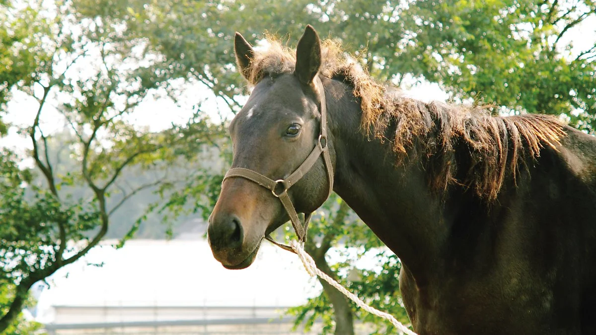 %ED%8F%AC%EB%A7%B7%EB%B3%80%ED%99%98%EC%9D%98%EA%B7%80%EB%A6%AC_%281%29.jpg?type=w1200