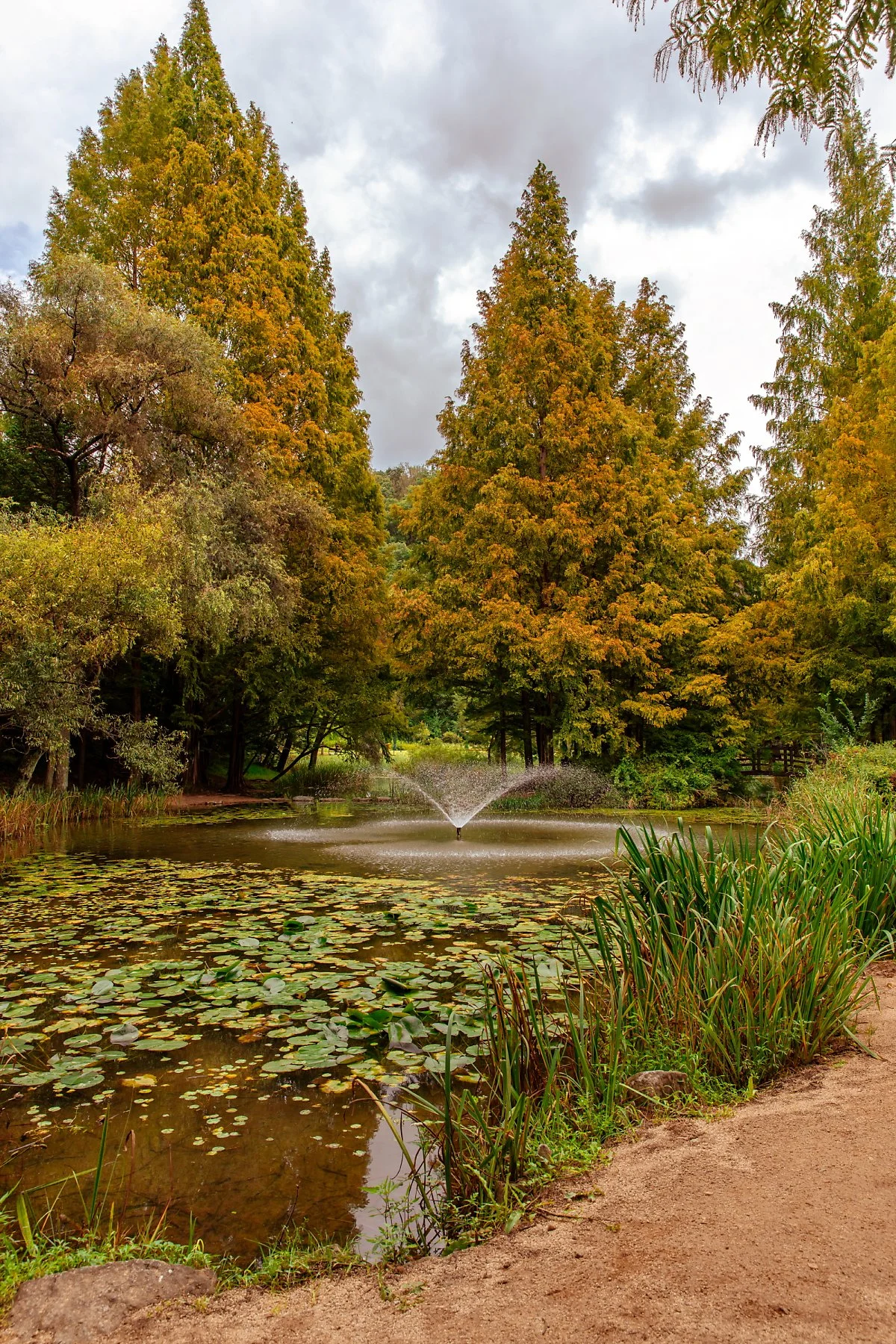 IMG_9636.jpg?type=w1200