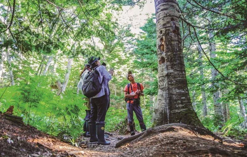 3_%EC%95%BC%EC%83%9D%EA%B8%B8_%EA%B0%80%EC%9D%B4%EB%93%9C%EC%9B%8C%ED%81%AC3.jpeg?type=w1200