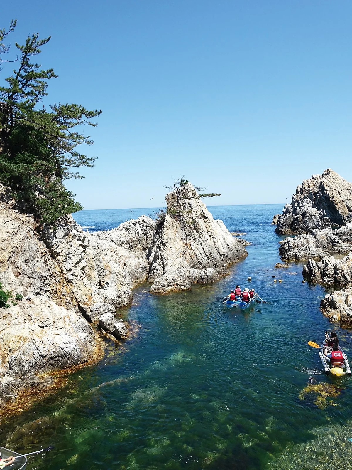 %EC%82%BC%EC%B2%99_%EC%9E%A5%ED%98%B8%ED%95%AD_202105_%EA%B9%80%EC%84%A0%EC%A3%BC_%2810%29.JPG?type=w1200