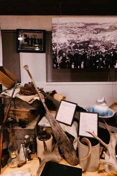 %ED%81%AC%EA%B8%B0%EB%B3%80%ED%99%98%EC%95%BC%EC%83%9D%EB%8F%99%EB%AC%BC_%EB%B0%95%EB%AC%BC%EA%B4%80_(4).jpg?type=w466