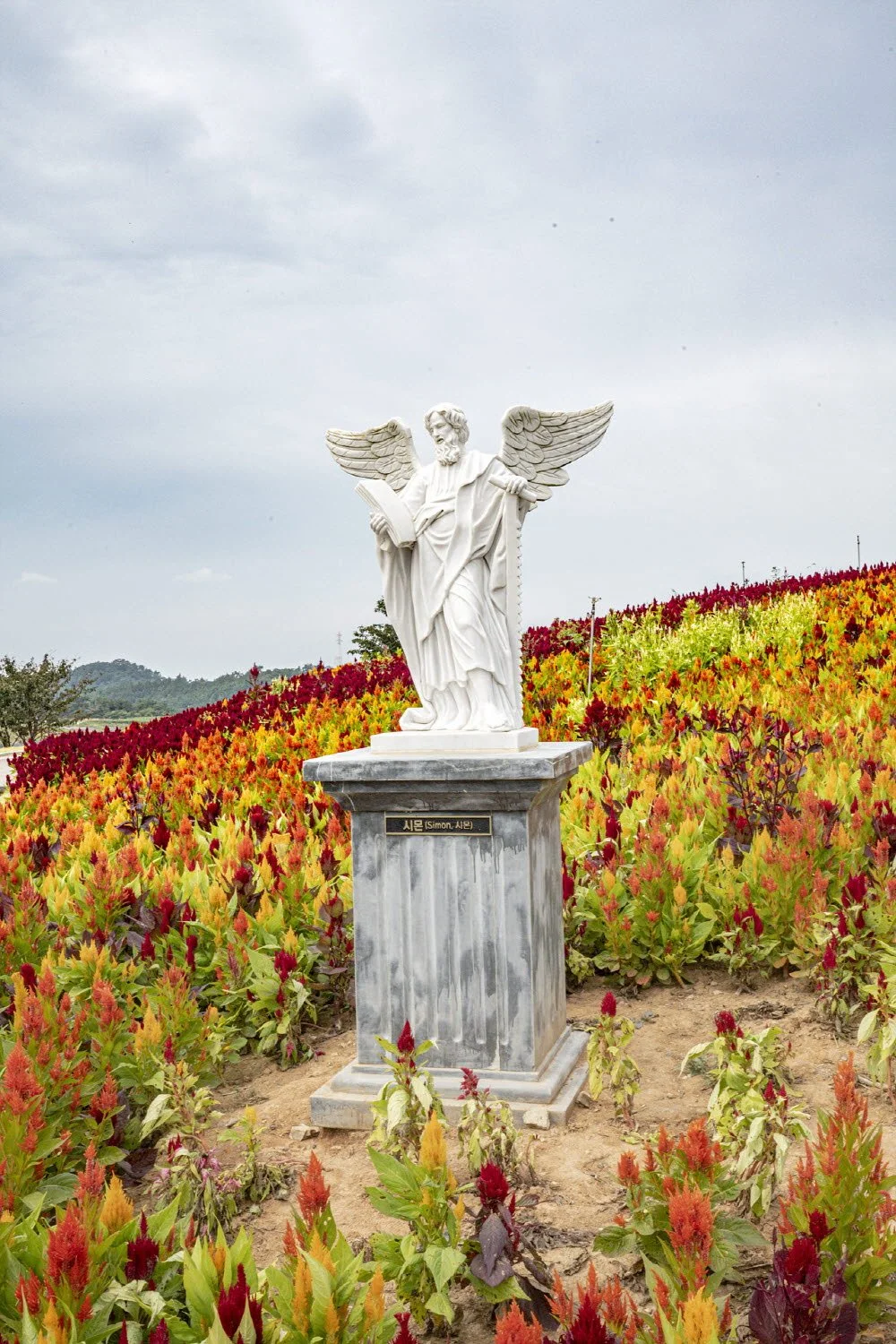 %EB%A7%A8%EB%93%9C%EB%9D%BC%EB%AF%B8%EB%8F%99%EC%82%B0_%2813%29.jpg?type=w1200