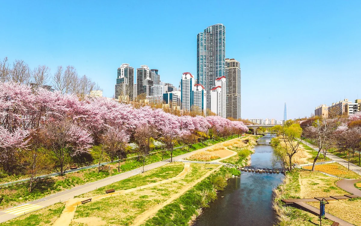 c_%EA%B0%95%EB%82%A8%EA%B5%AC%EC%B2%AD_%281%29.jpg?type=w1200