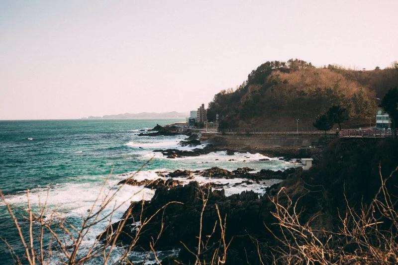 %EC%83%88%EC%B2%9C%EB%85%84%EB%8F%84%EB%A1%9C_%283%29.jpg?type=w1200&type=w1200