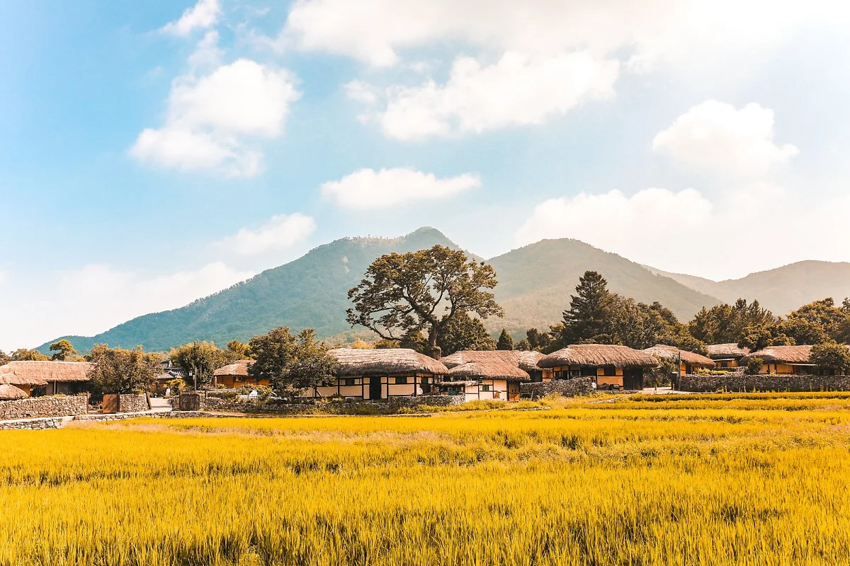 %EC%99%B8%EC%95%94%EB%AF%BC%EC%86%8D%EB%A7%88%EC%9D%84_C%EA%B0%95%ED%99%94%EC%86%A1.jpg?type=w1200