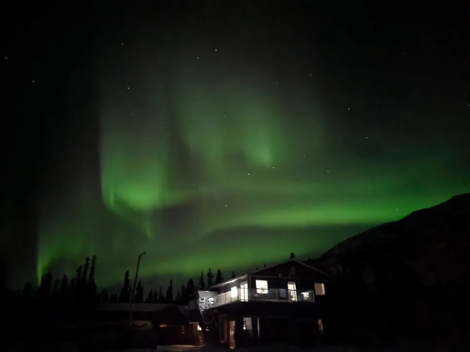 %EB%8F%94_%EC%98%A4%EB%A1%9C%EB%9D%BC_(5).jpg?type=w966