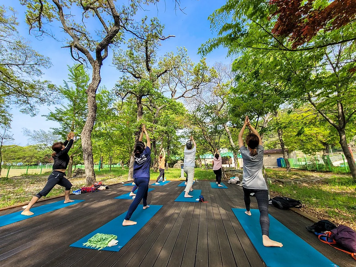 1-0%E2%92%B8%EB%B0%94%EB%B0%94%EA%B7%B8%EB%9D%BC%EC%9A%B4%EB%93%9C.jpeg?type=w1200