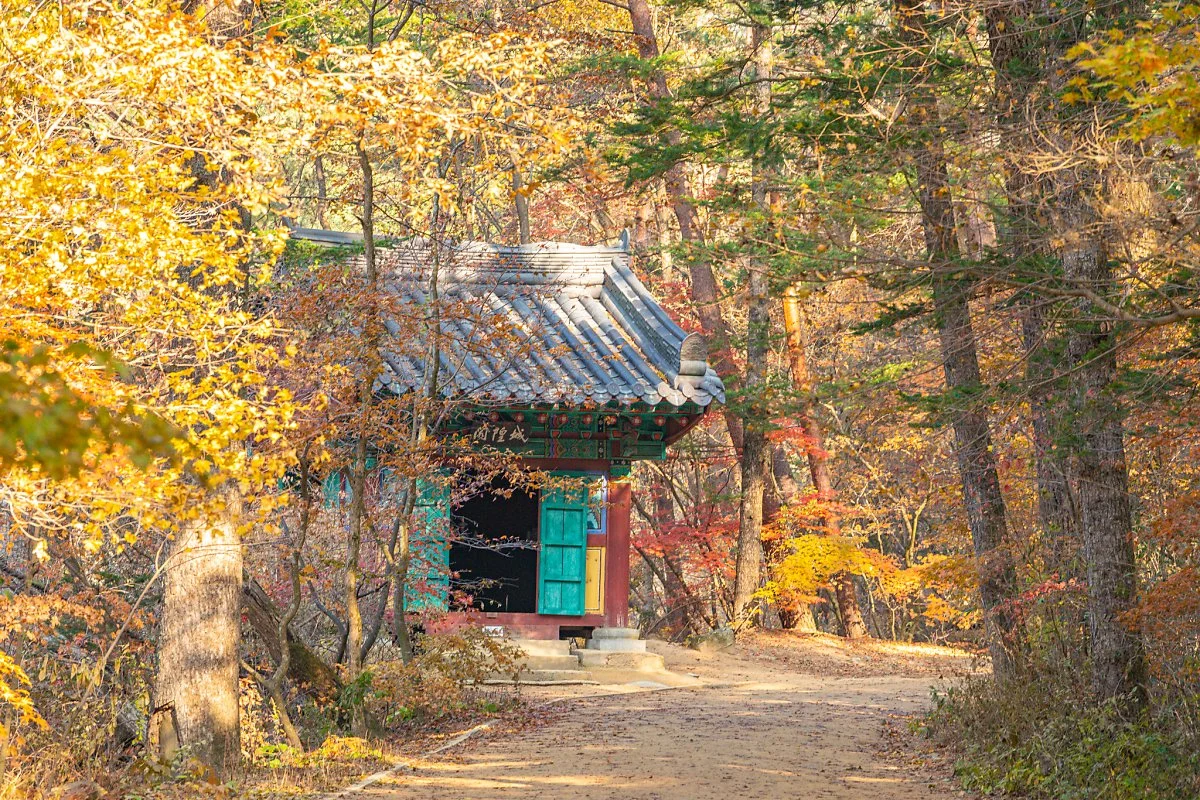 %EC%9B%94%EC%A0%95%EC%82%AC_006.jpg?type=w1200