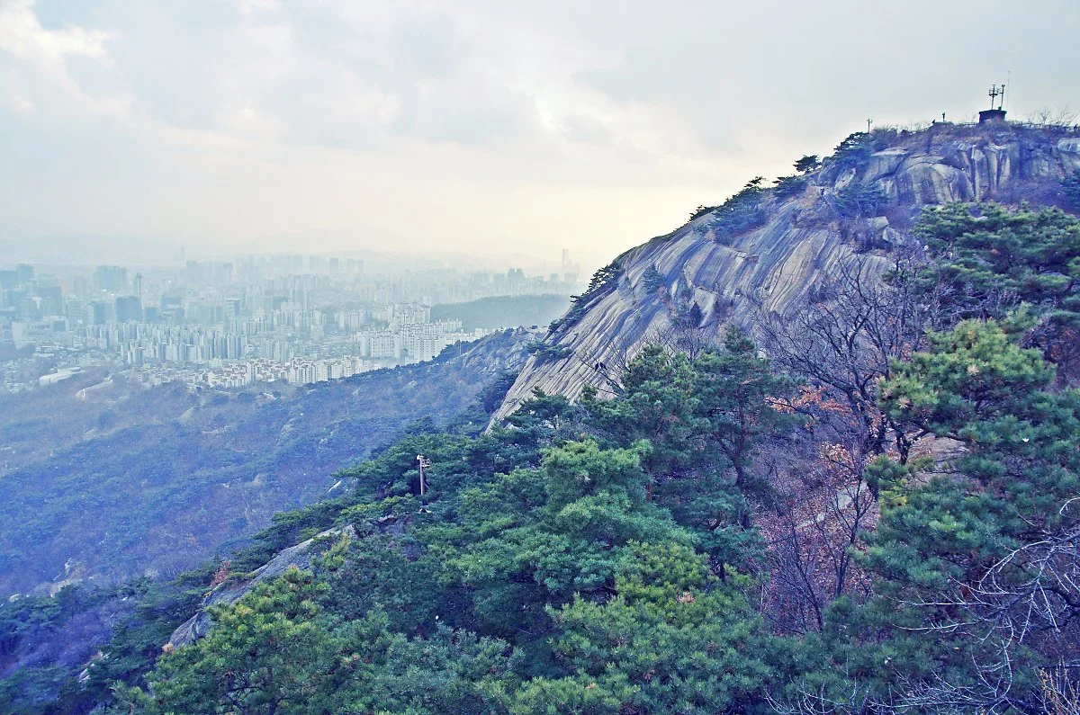 %EC%A0%95%EC%83%81%EC%97%90%EC%84%9C_%EC%9C%A4%EB%8F%99%EC%A3%BC_%EC%8B%9C%EC%9D%B8%EC%9D%98_%EC%96%B8%EB%8D%95_%EC%AA%BD%EC%9C%BC%EB%A1%9C_%EB%82%B4%EB%A0%A4%EA%B0%80%EB%8B%A4%EA%B0%80_%EB%8F%8C%EC%95%84%EB%B3%B8_%ED%92%8D%EA%B2%BD._%EC%82%B0_.JPG?type=w1200