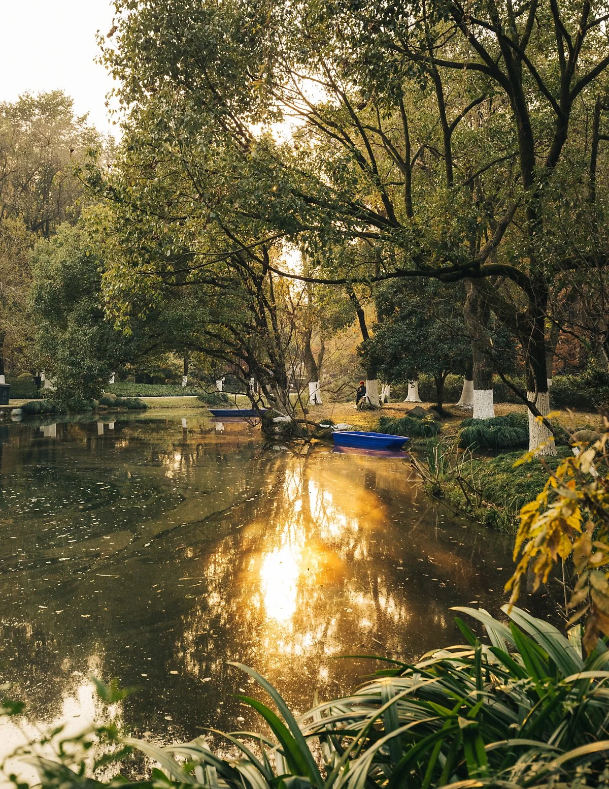 %EC%84%9C%ED%98%B8_%284%29.jpg?type=w1200