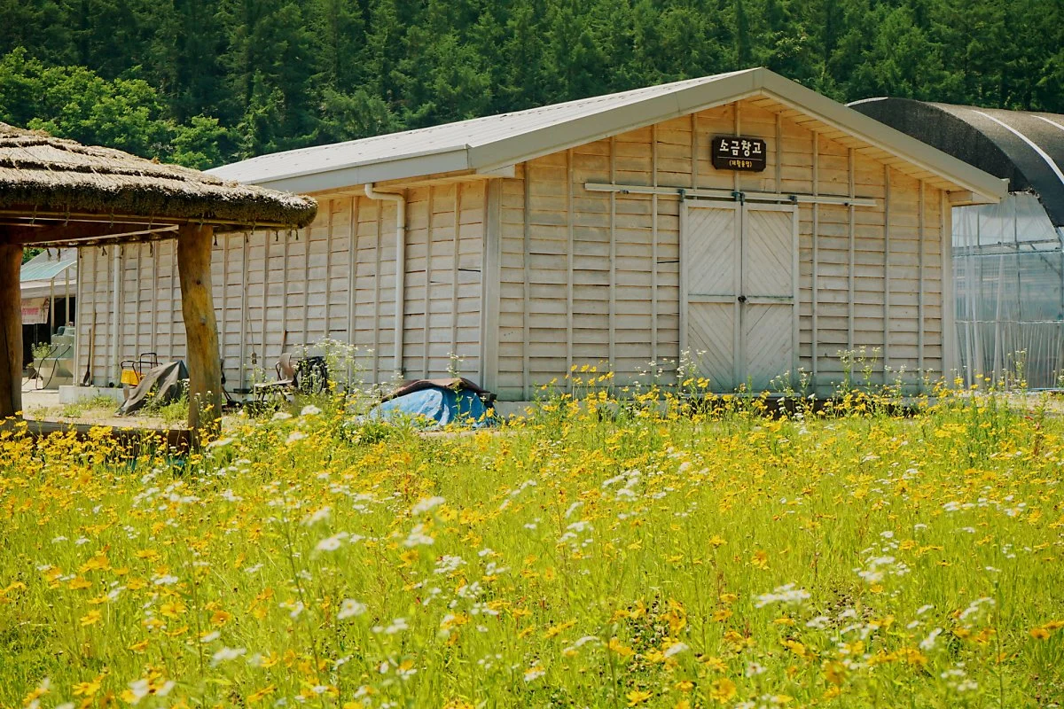 %EB%AC%B8%EA%B4%91%EC%A0%80%EC%88%98%EC%A7%80_%EA%B4%B4%EC%82%B0_202306_%EC%9B%B0%EC%B4%8C_%287%29.JPG?type=w1200