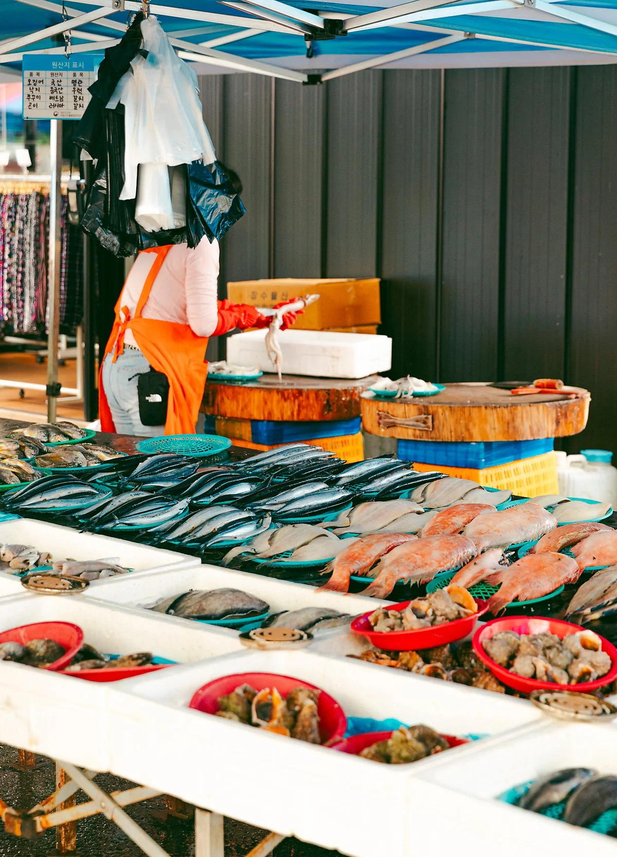 d_%EC%A7%84%EB%B6%80%EB%A9%B4%EC%9E%AC%EB%9E%98%EC%8B%9C%EC%9E%A5_6.jpg?type=w1200