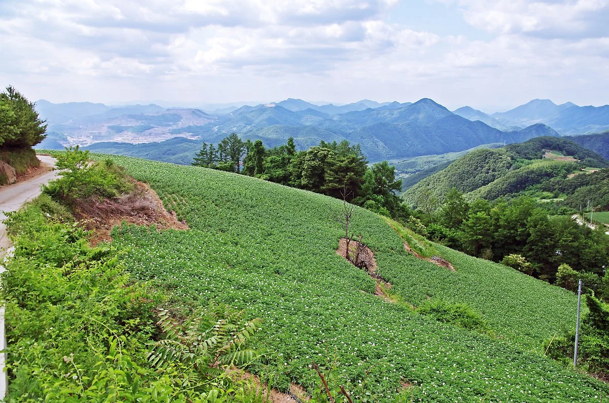 %EB%91%90%EC%82%B0_%EA%B0%90%EC%9E%90%EB%B0%AD.JPG?type=w1200