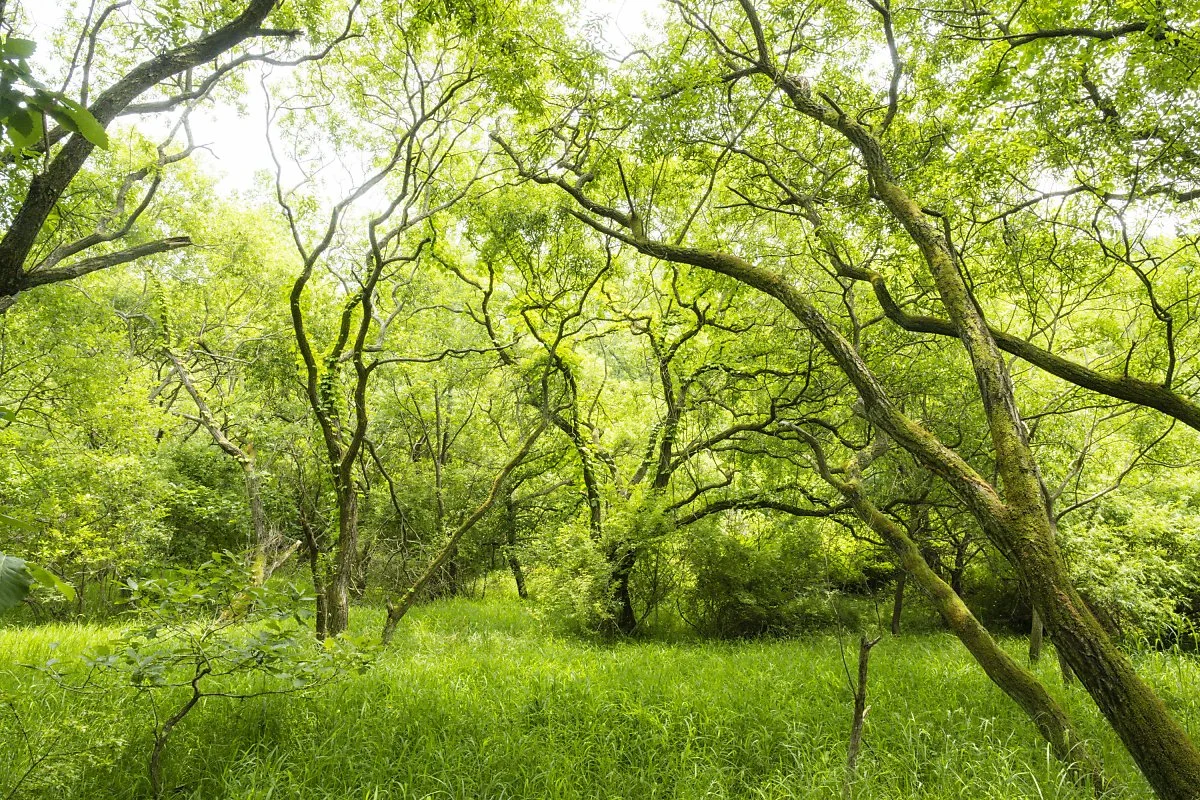 %EC%9A%B4%EA%B3%A1%EB%9E%8C%EC%82%AC%EB%A5%B4%EC%8A%B5%EC%A7%80_%286%29.jpg?type=w1200