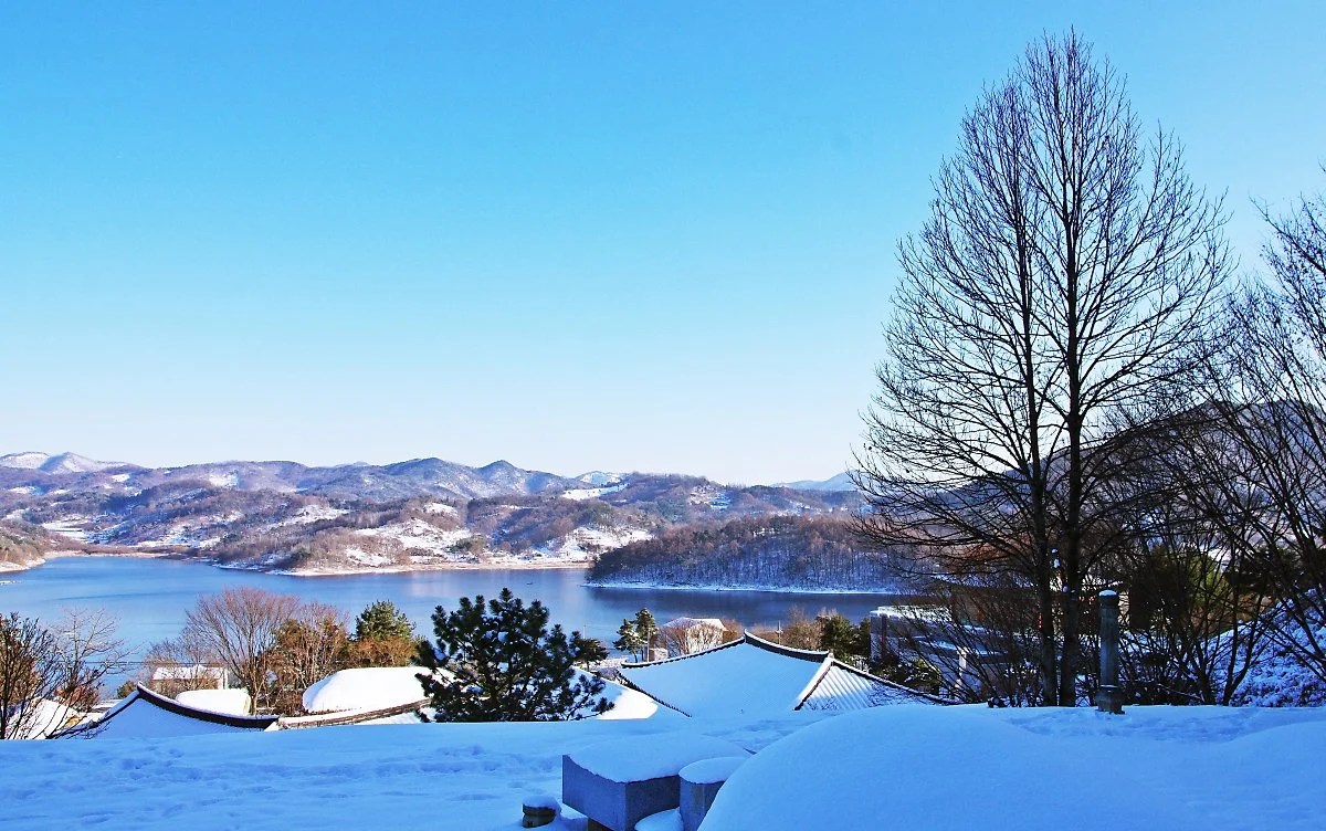 %EA%B2%A8%EC%9A%B8%EB%82%98%EB%AC%B4%EA%B0%80_%EB%8C%80%EC%B2%AD%ED%98%B8%EB%A5%BC_%EB%B0%94%EB%9D%BC%EB%B3%B4%EA%B3%A0_%EC%9E%88%EB%8B%A4..JPG?type=w1200