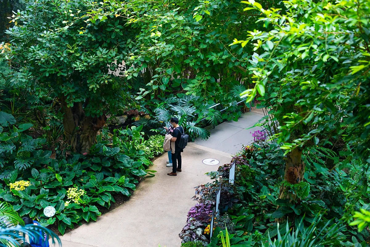 d_%EC%84%9C%EC%9A%B8%EC%8B%9D%EB%AC%BC%EC%9B%90_1.jpg?type=w1200