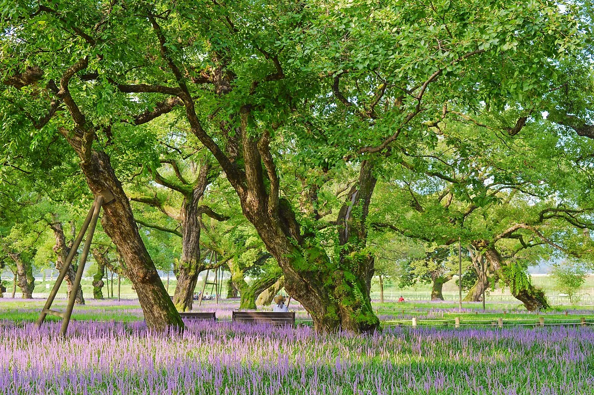 %EC%84%B1%EB%B0%96%EC%88%B2%EB%A7%A5%EB%AC%B8%EB%8F%99_%2814%29.jpg?type=w1200