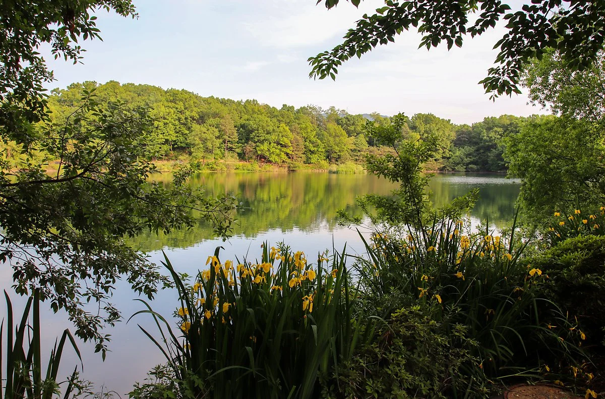 %ED%98%B8%EC%95%94%EC%A7%806.jpg?type=w1200