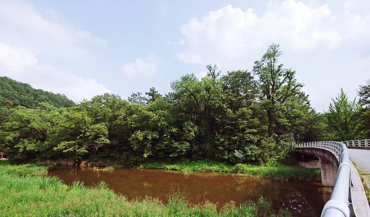 %EA%B8%B8%EC%97%90%EC%84%9C_%EB%8B%A4%EB%A6%AC%EB%A5%BC_%EA%B1%B4%EB%84%88_%EC%A3%BC%EC%8B%A4%EB%A7%88%EC%9D%84%EB%A1%9C_%EB%93%A4%EC%96%B4%EC%98%A4%EB%8B%A4_%EB%8F%8C%EC%95%84%EB%B3%B8_%ED%92%8D%EA%B2%BD._%EB%AC%BC_%EA%B1%B4%EB%84%88_%EC%88%B2.JPG?type=w1200