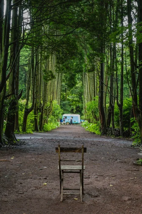 19_%EB%B9%84%EB%B0%80%EC%9D%98_%EC%88%B2%EC%9D%80_%EC%A0%9C%EC%A3%BC_%EC%B5%9C%EA%B3%A0%EC%9D%98_%EC%9D%B8%EA%B8%B0_%EC%82%AC%EC%A7%84%EC%8A%A4%ED%8F%BF%EC%9D%B4%EB%8B%A4.jpg?type=w466