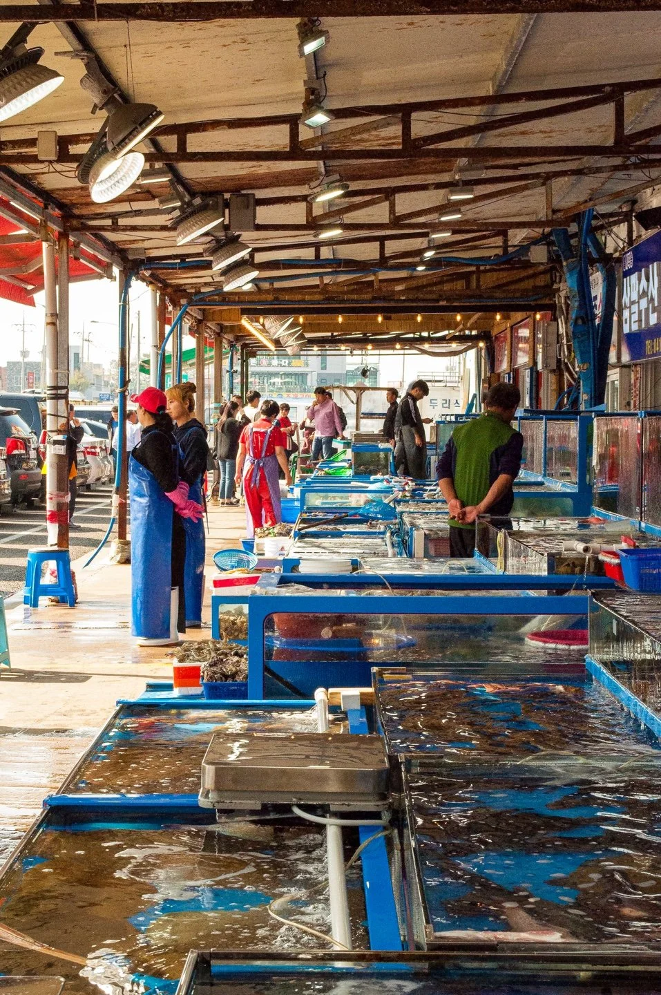 %EB%8C%80%EC%B2%9C%ED%95%AD%EC%88%98%EC%82%B0%EC%8B%9C%EC%9E%A53.jpg?type=w1200