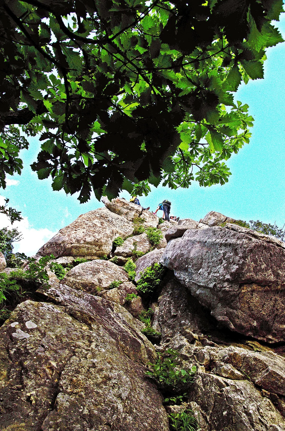 %EC%A0%80_%ED%99%94%EA%B0%95%EC%95%94_%EB%B0%94%EC%9C%84_%EB%B4%89%EC%9A%B0%EB%A6%AC%EB%A5%BC_%EB%8B%A4_%EC%98%AC%EB%9D%BC%EA%B0%80%EB%A9%B4_%EB%85%B8%EC%9D%B8%EB%B4%89_%EC%A0%95%EC%83%81%EC%9D%B4%EB%8B%A4..JPG?type=w1200