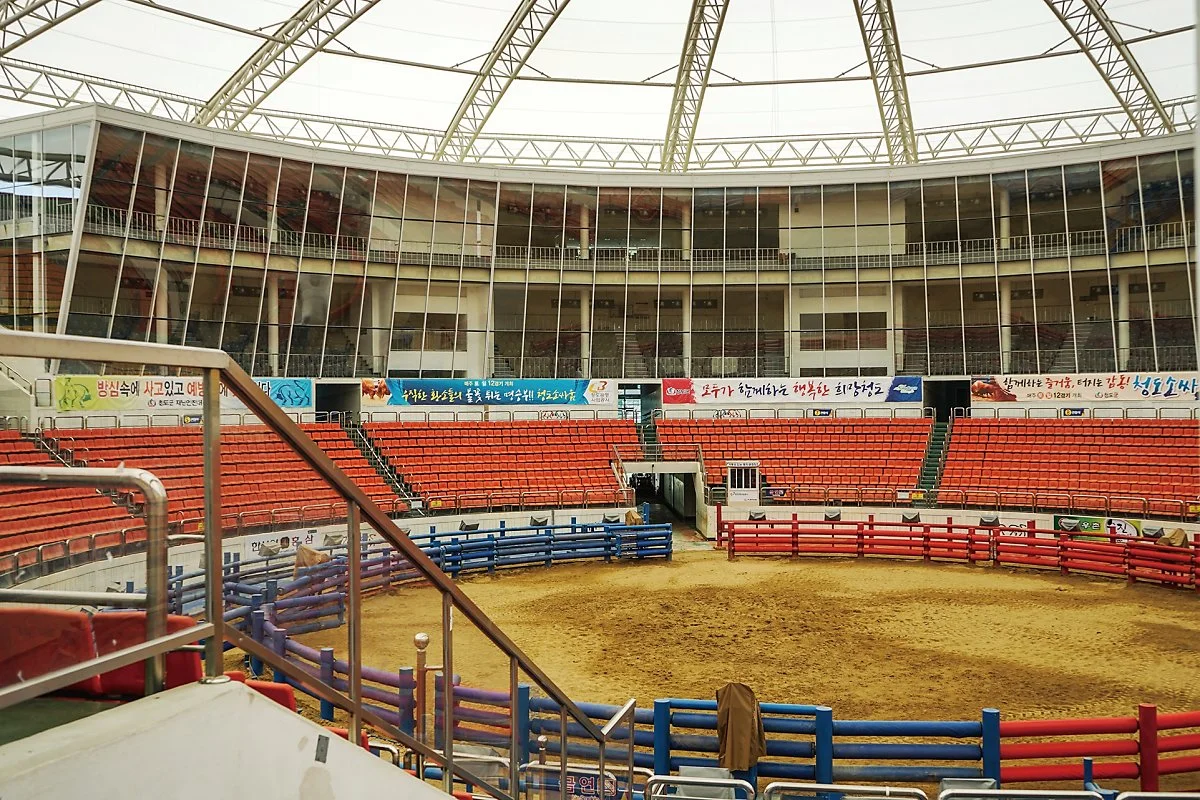 %EC%B2%AD%EB%8F%84%EC%86%8C%EC%8B%B8%EC%9B%80%EA%B2%BD%EA%B8%B0%EC%9E%A5_%284%29.jpg?type=w1200