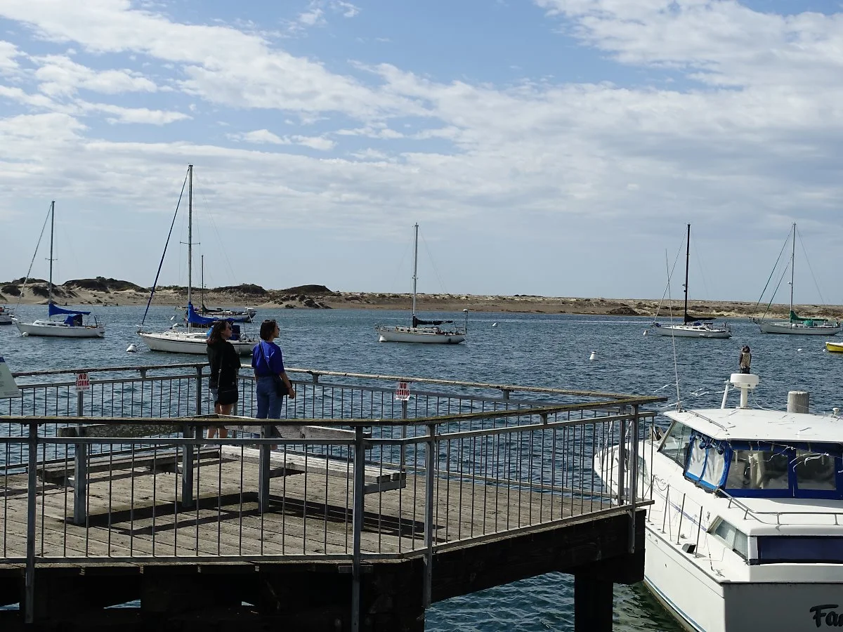 %EB%AA%A8%EB%A1%9C%EB%B2%A0%EC%9D%B4.JPG?type=w1200