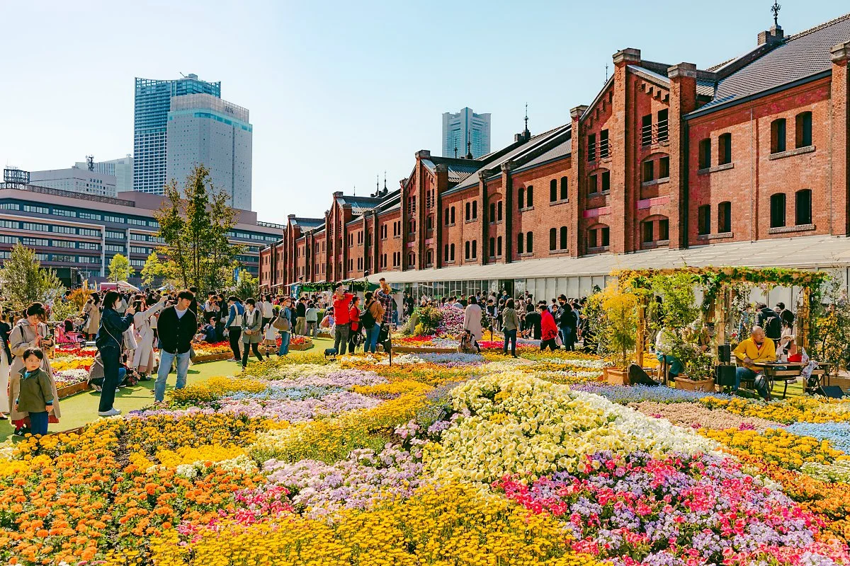 %EC%9A%94%EC%BD%94%ED%95%98%EB%A7%88_%EB%B6%89%EC%9D%80_%EB%B2%BD%EB%8F%8C_%EC%B0%BD%EA%B3%A0_1.jpg?type=w1200