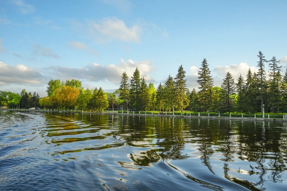 %EB%A6%AC%EB%8F%84%EC%9A%B4%ED%95%98_%EC%9C%A0%EB%9E%8C%EC%84%A0_%2811%29.JPG?type=w1200