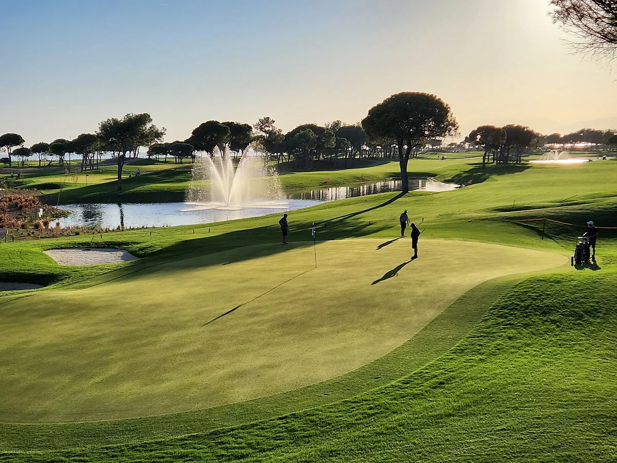 %EC%BF%A8%EB%A6%AC%EB%82%9Cbelek_%2844%29.jpg?type=w1200