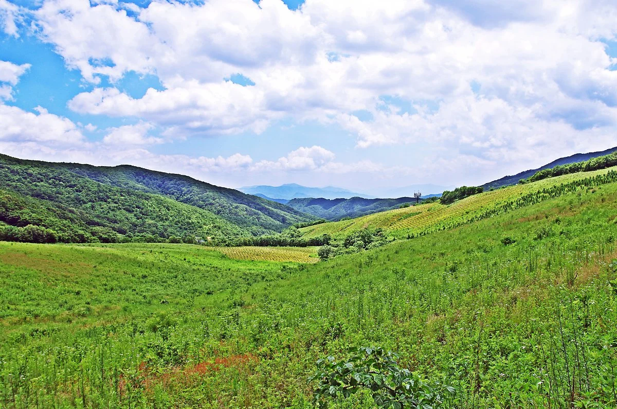 %EA%B3%A0%EC%9B%90%ED%8F%89%EC%A0%84._%EC%9D%B4%EB%9F%B0_%ED%8F%89%EC%A0%84%EC%9D%B4_%EC%82%AC%EC%A7%84_%EB%B0%96%EC%97%90_%EB%8D%94_%EB%84%93%EA%B2%8C_%ED%8E%BC%EC%B3%90%EC%A7%84%EB%8B%A4..JPG?type=w1200