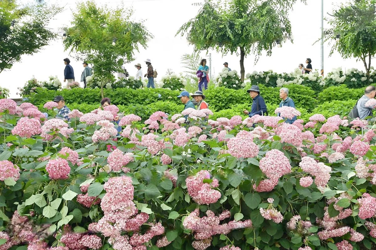 %EB%A9%94%EC%9D%B8_%EC%98%AC%ED%95%B4_%EC%A0%9C3%ED%9A%8C_%EC%9C%A0%EA%B5%AC%EC%83%89%EB%8F%99%EC%88%98%EA%B5%AD%EC%A0%95%EC%9B%90_%EA%BD%83%EC%B6%95%EC%A0%9C%EB%8A%94_%EB%8B%A4%EA%B0%80%EC%98%A4%EB%8A%94_6%EC%9B%94_14%EC%9D%BC%28%EA%B8%88%29%EB%B6%80.jpg?type=w1200