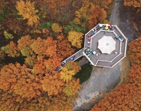 %EC%9E%A5%ED%83%9C%EC%82%B0%ED%9C%B4%EC%96%91%EB%A6%BC.jpg?type=w1200