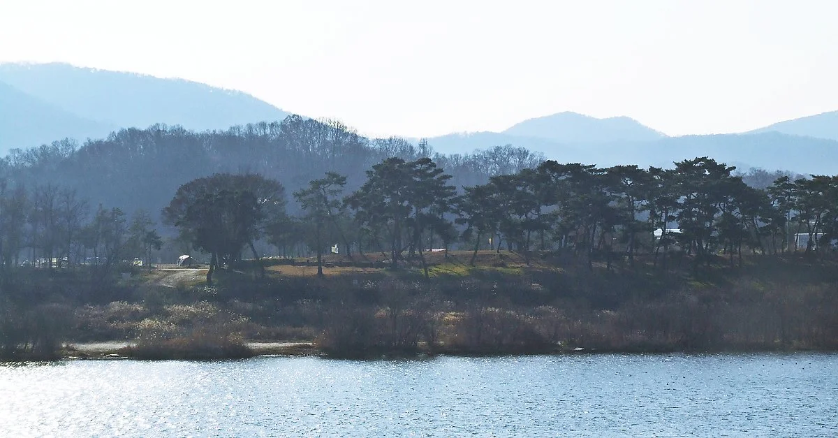 %EC%98%9B_%EB%AA%A9%EA%B3%84%EB%82%98%EB%A3%A8%ED%84%B0%EC%97%90%EC%84%9C_%EB%B3%B8_%EB%AA%A9%EA%B3%84%EC%86%94%EB%B0%AD.JPG?type=w1200