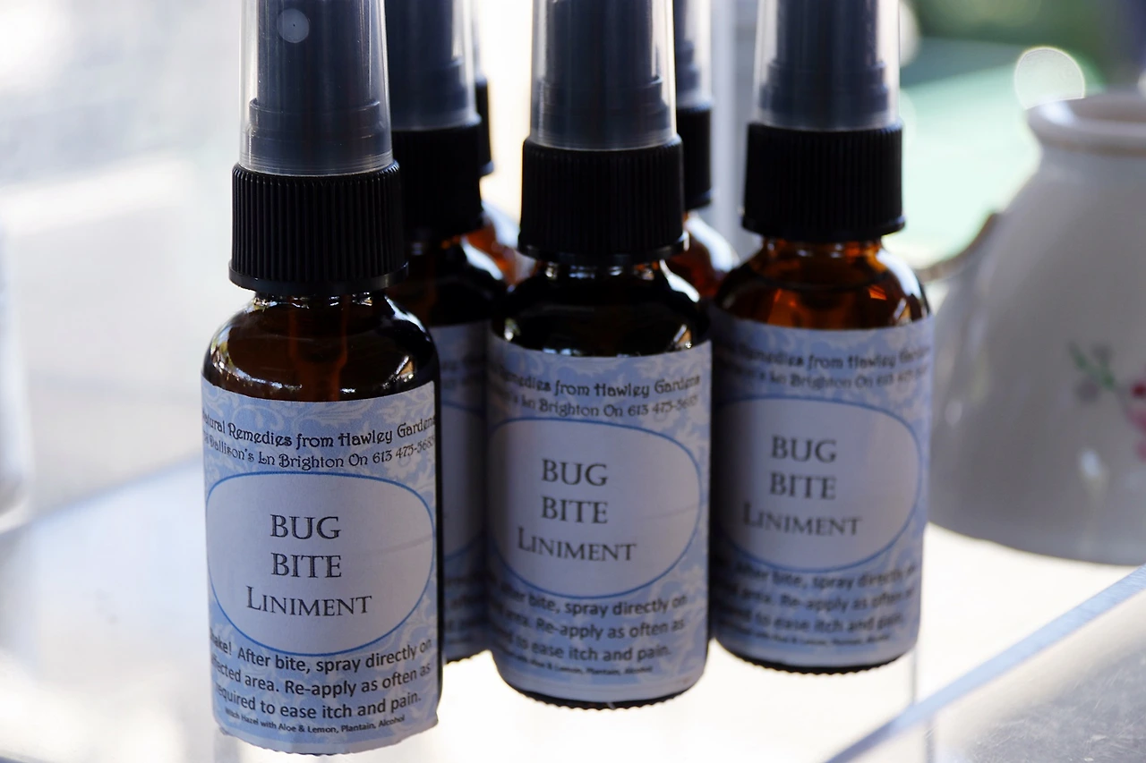 6.Codrington Farmer's Market-plantain weed extract.JPG