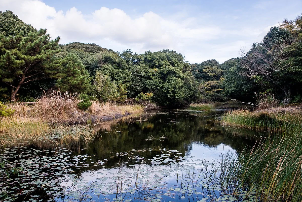 %EB%8F%99%EB%B0%B1%EB%8F%99%EC%82%B0_002.jpg?type=w1200