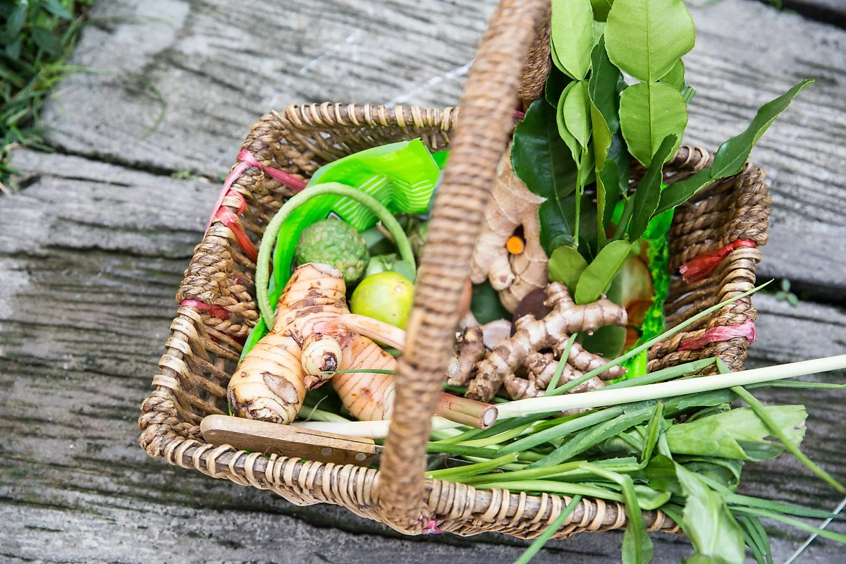 coolASPECT-0377.jpg?type=w1200