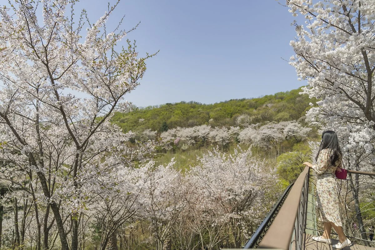 1_%ED%99%94%EB%8B%B4%EC%B1%84_%EB%B4%84_%288%29.jpg?type=w1200