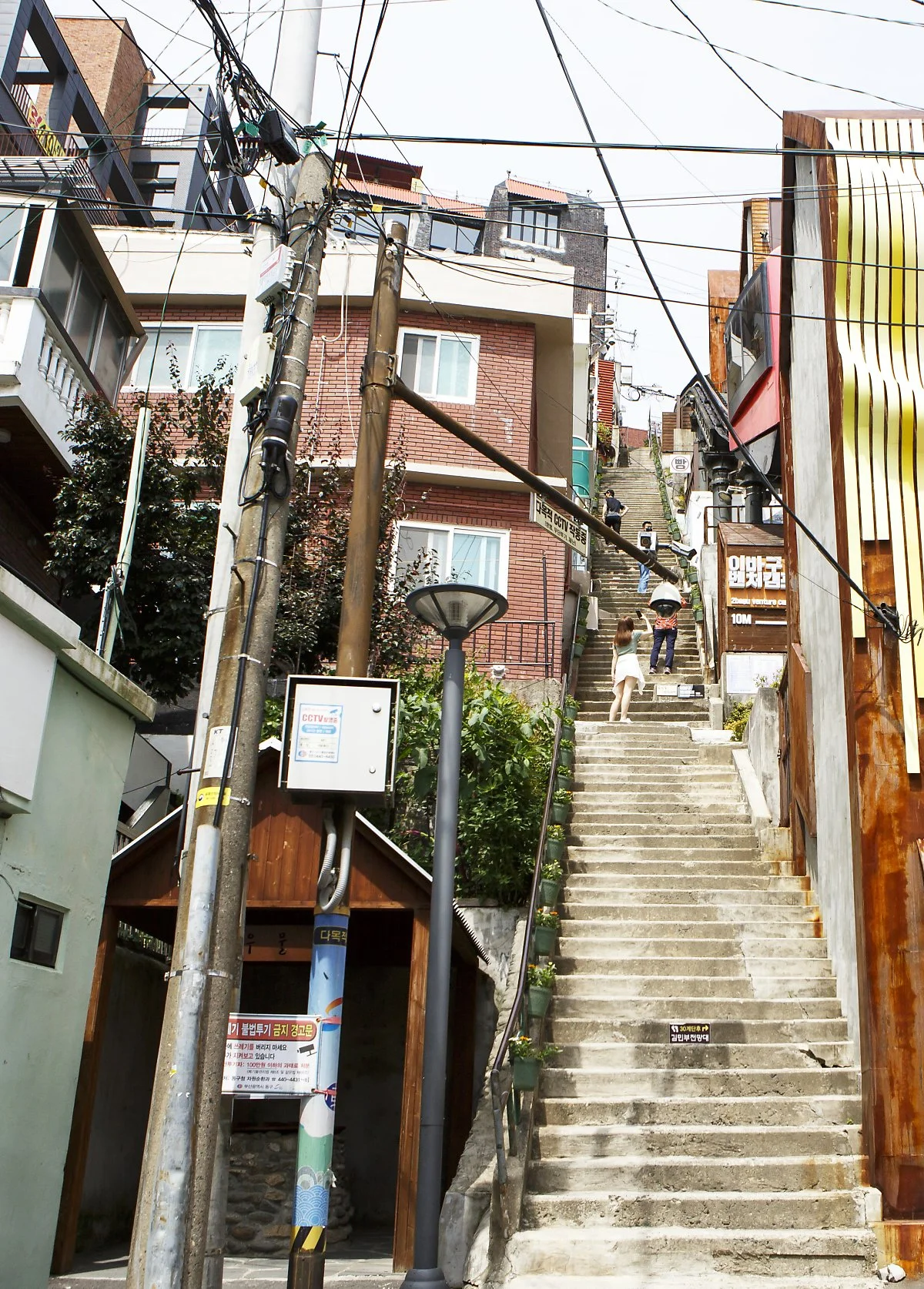 %EC%B4%88%EB%9F%89_%EC%9D%B4%EB%B0%94%EA%B5%AC%EA%B8%B8_%EC%A0%95%EC%9D%80%EC%A3%BC_%289%29.JPG?type=w1200