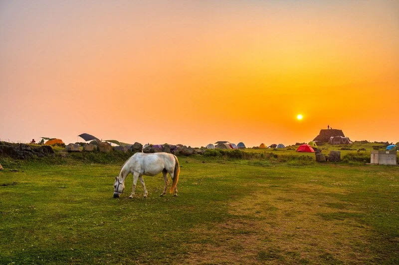 %EB%8F%84%EB%B9%84%EB%9D%BC_%ED%9B%84%EB%B3%B4_%283%29.jpg?type=w1200