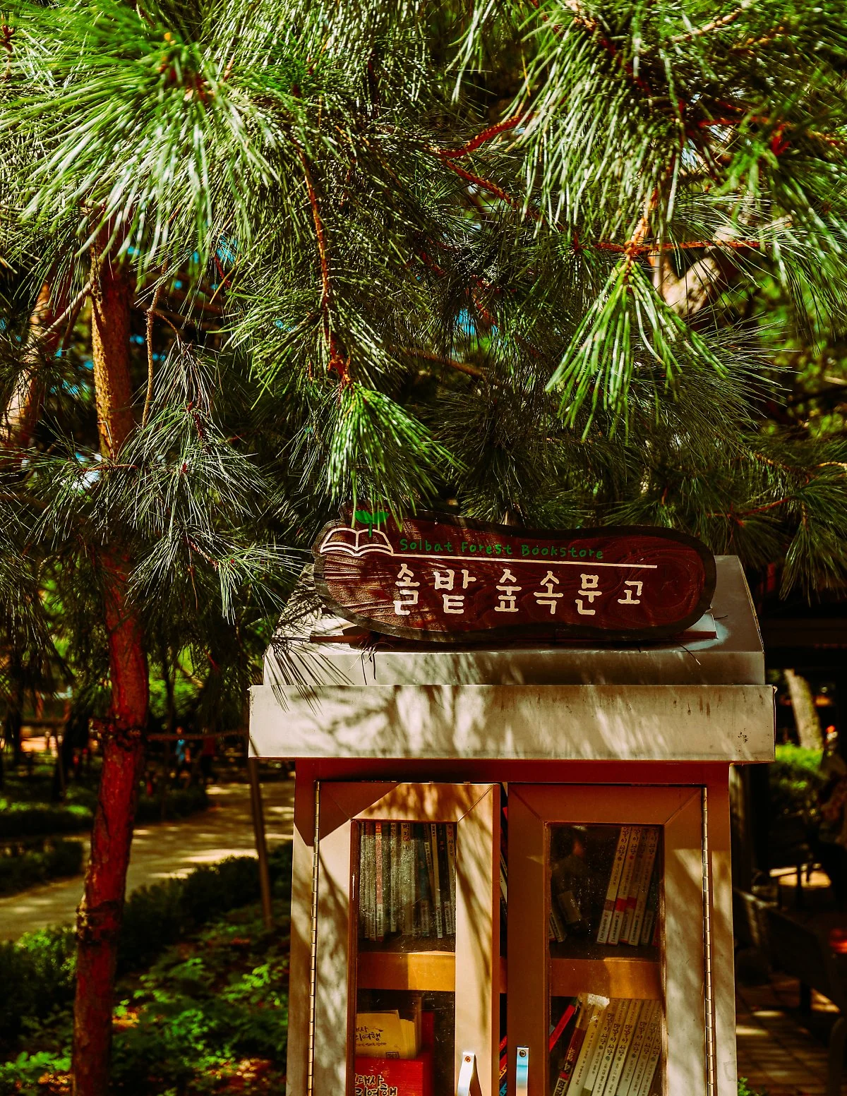 %EC%86%94%EB%B0%AD%EA%B7%BC%EB%A6%B0%EA%B3%B5%EC%9B%90_%284%29.JPG?type=w1200