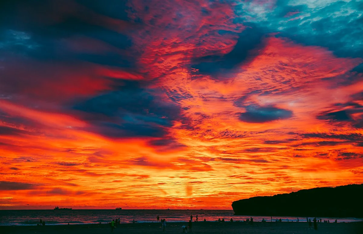 %EC%B9%98%EC%A7%84%EC%84%AC.jpg?type=w1200