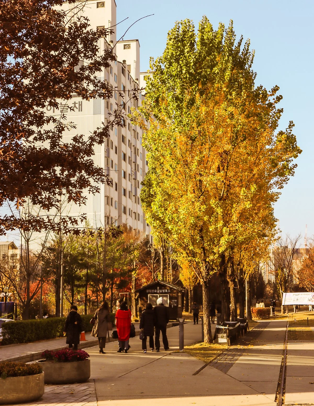 %ED%81%AC%EA%B8%B0%EB%B3%80%ED%99%98%ED%99%8D%EB%8C%80_%EC%97%B0%EB%82%A8%EB%8F%99_-9.jpg?type=w1200