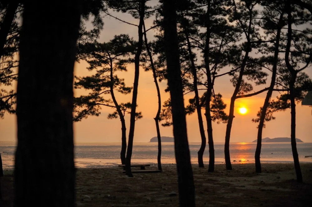 %EC%98%B9%EC%95%94%ED%95%B4%EB%B3%80_%EC%A0%80%EB%85%81%ED%92%8D%EA%B2%BD_%282%29.jpg?type=w1200